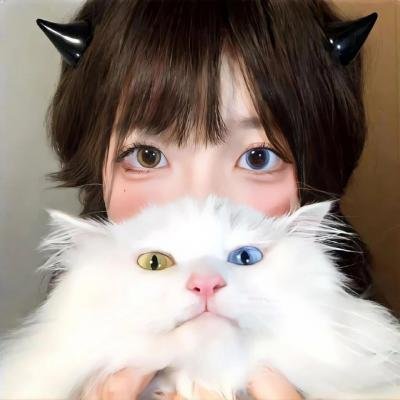 赢钱家族
