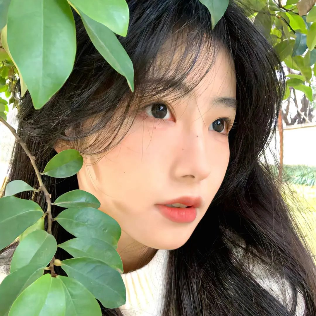 大明诡事录